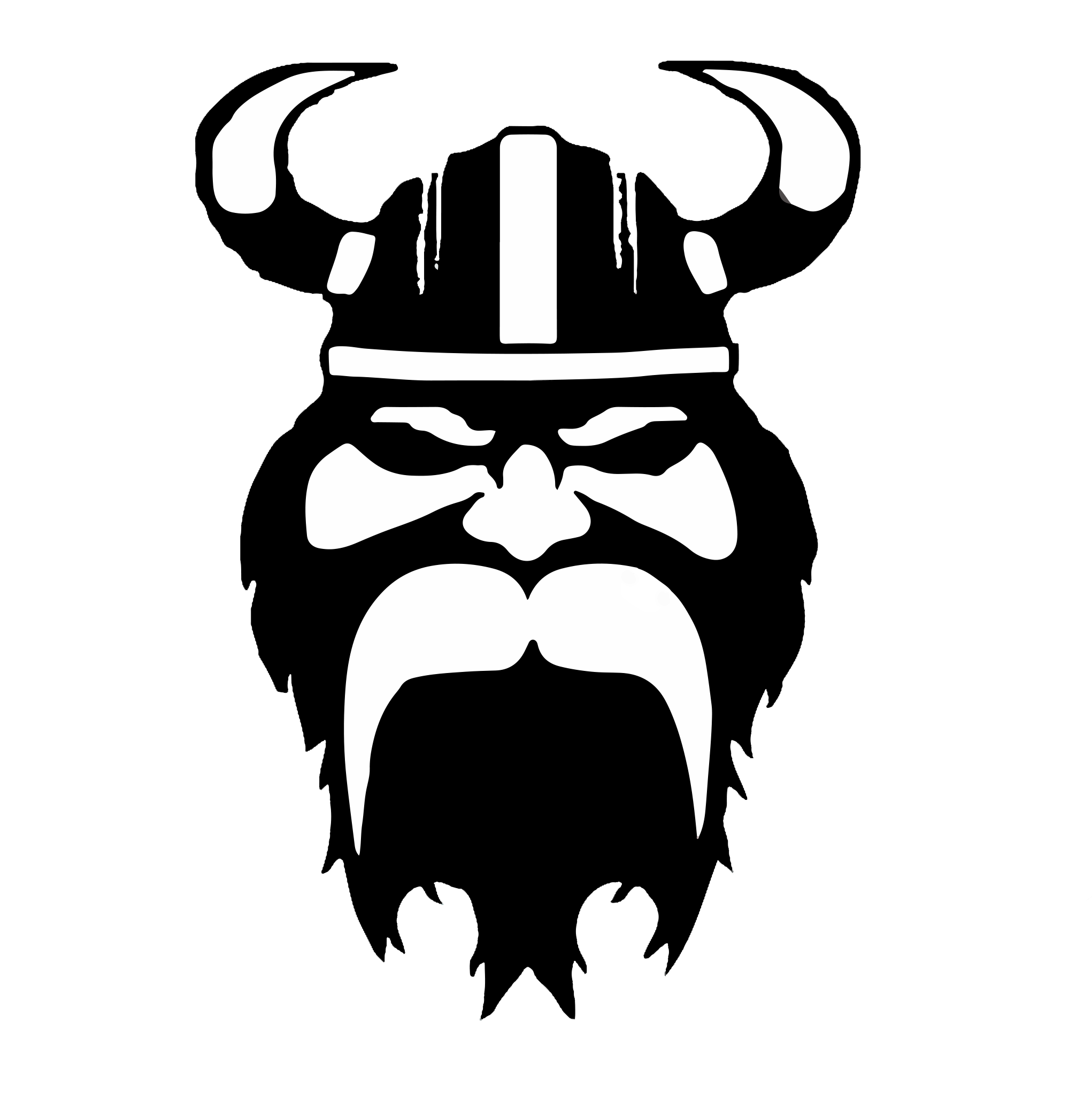 Disc Golf Vikings